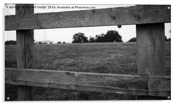 Wooden fence with snail Acrylic by Mitchell Nortje