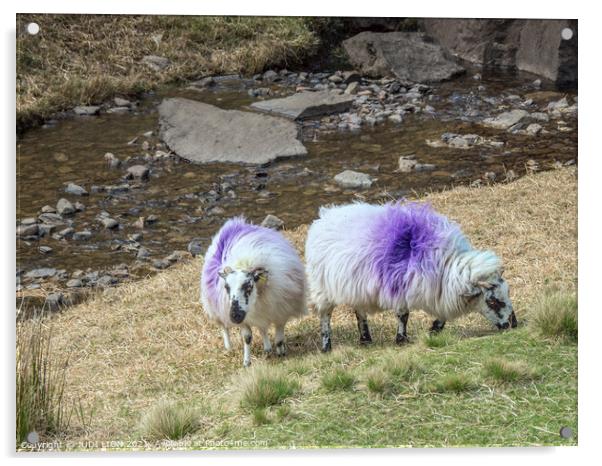 Two Purple Sheep Acrylic by JUDI LION