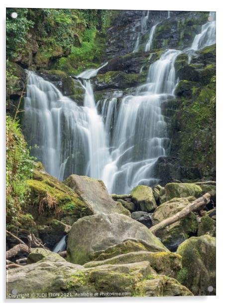 Torc Waterfall, Ireland Acrylic by JUDI LION