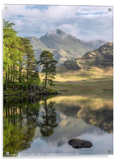 Early morning at Blea Tarn in the Lake District Acrylic by JUDI LION