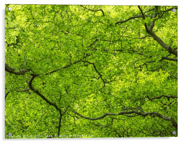 Spring greens Acrylic by JUDI LION