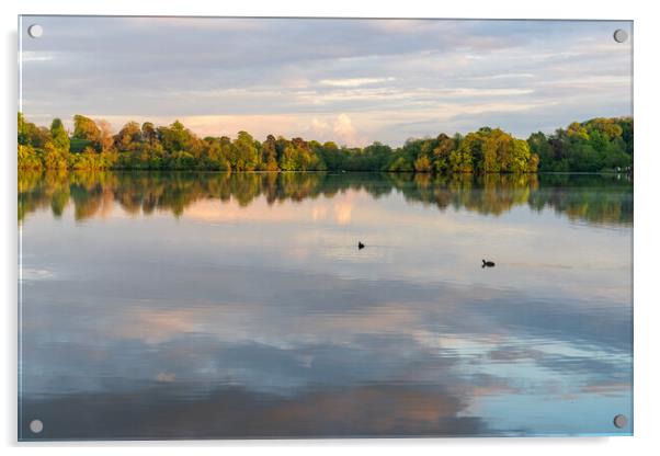 View across the Ellesmere Mere to a clear reflecti Acrylic by Steve Heap