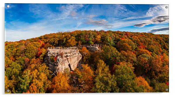 Coopers Rock state park overlook over the Cheat Ri Acrylic by Steve Heap