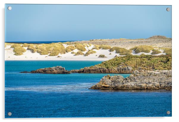 White sandy beaches near Port Stanley on Falkland Islands on sun Acrylic by Steve Heap