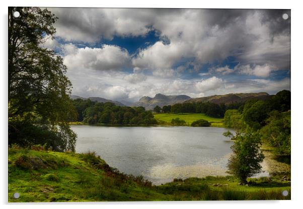 Loughrigg Tarn in Lake District Acrylic by Steve Heap