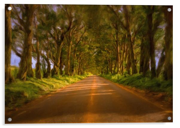 Famous Tree Tunnel of Eucalyptus on Kauai Acrylic by Steve Heap