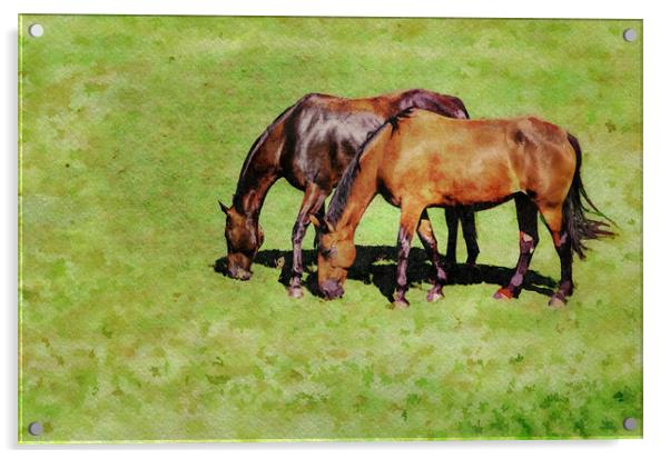 Digital water color of two brown horses Acrylic by Steve Heap