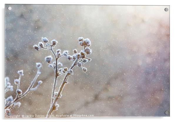 Fantasy Snow Scene Acrylic by Jackie Davies