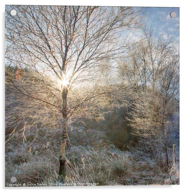 Winter Sunburst Acrylic by Jackie Davies