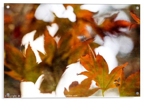 Autumn Twist Acrylic by Jackie Davies