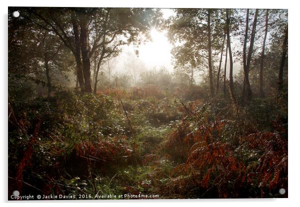 Autumn Woods Acrylic by Jackie Davies