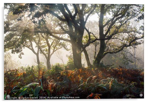 Mysterious Forest   Acrylic by Jackie Davies