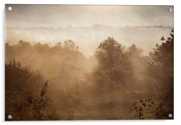 Autumn Mists Acrylic by Jackie Davies