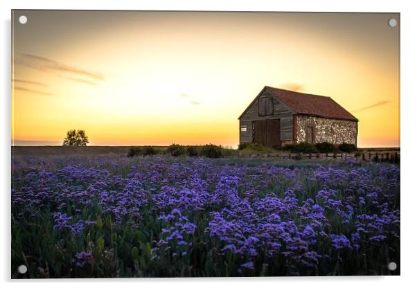 Purple sunset Acrylic by Ashley Taylor