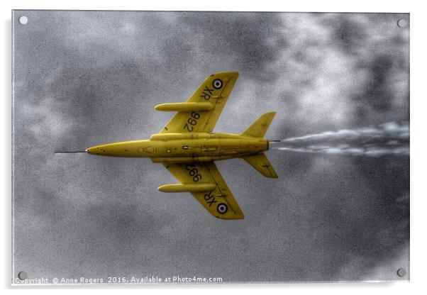 Gnat - Yellowjack Acrylic by Anne Rogers LRPS