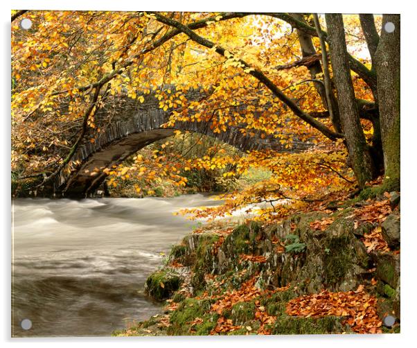 River Brathay, Clappersgate, Lake District, Cumbri Acrylic by David Bigwood