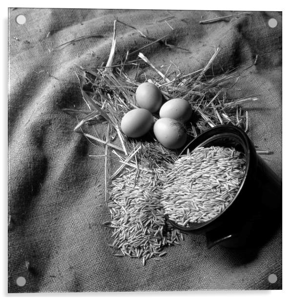 New laid eggs, straw and oats on hessian sacking Acrylic by David Bigwood