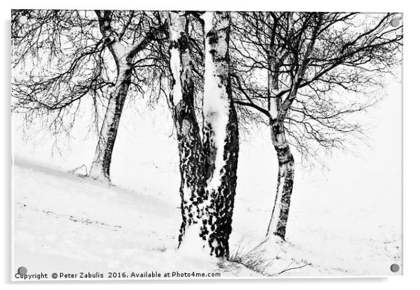 Winter Trees Acrylic by Peter Zabulis