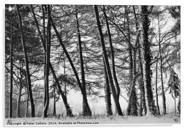 Winter Trees #2 Acrylic by Peter Zabulis