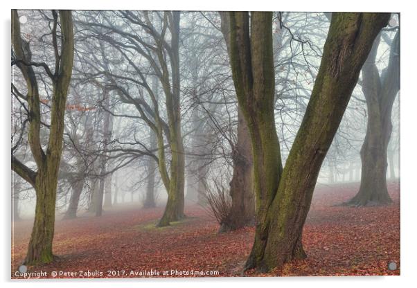 A Foggy Day in Sherwood Acrylic by Peter Zabulis