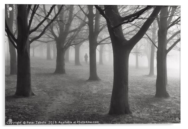 A figure in the mist Acrylic by Peter Zabulis