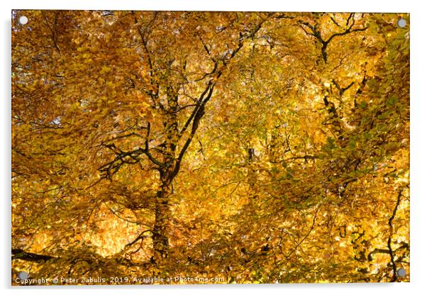 Autumn Gold Acrylic by Peter Zabulis