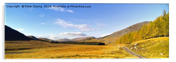 The road to Corrieyairack Pass - Newtonmore - Acrylic by Peter Gaeng