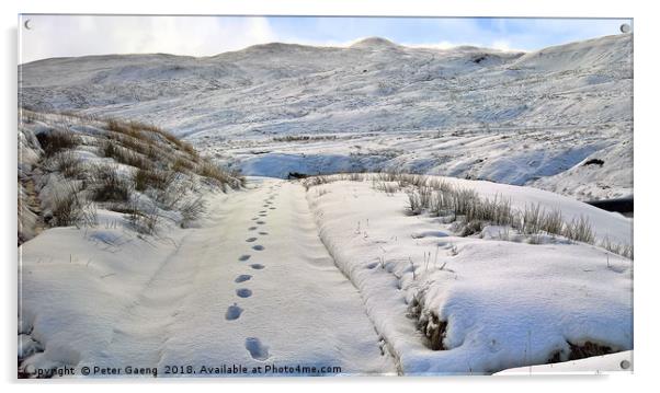 Footsteps in the snow Acrylic by Peter Gaeng