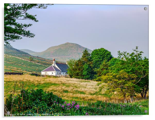 Cottage in the Scottish mountains  Acrylic by Peter Gaeng