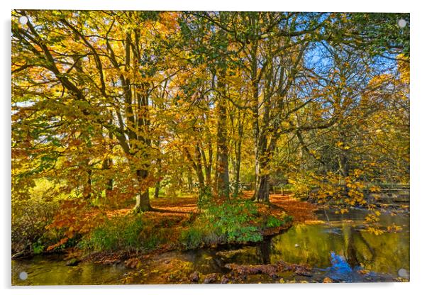 Autumn, River Dove , Peak District Acrylic by geoff shoults
