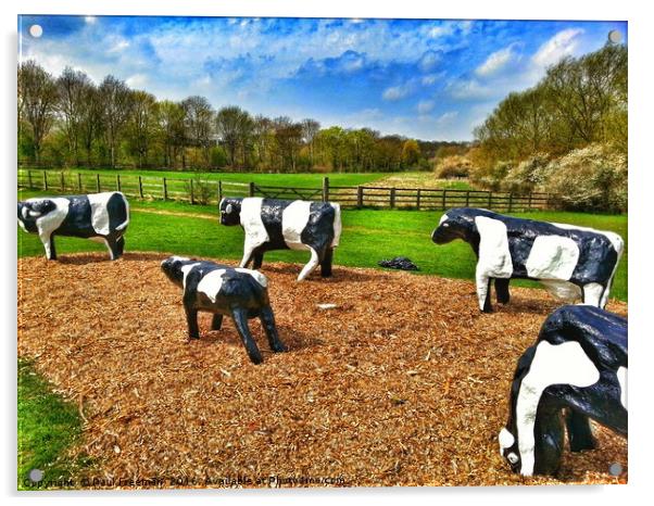 Concrete Cows in Summer Acrylic by Paul Freeman