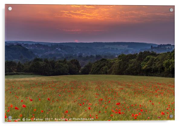 Poppy Field Sunset Acrylic by Gary Parker