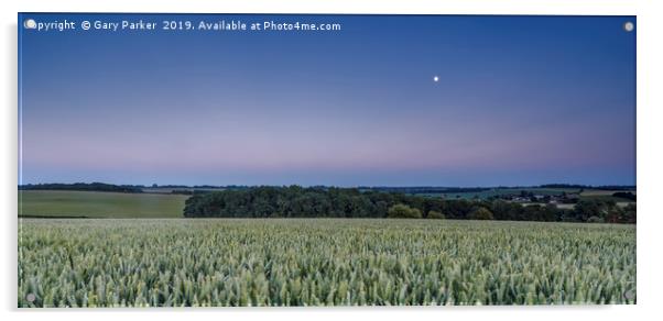 The moon rises over an English wheat field Acrylic by Gary Parker