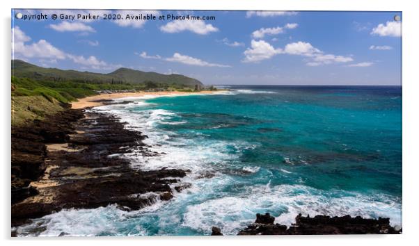 View of Sandy Beach Park, Hawaii Acrylic by Gary Parker