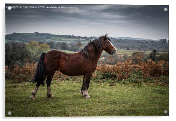 A beautiful brown horse, standing majestically in the landscape	 Acrylic by Gary Parker