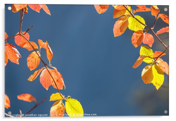 Dogwood Leaves Acrylic by jonathan nguyen