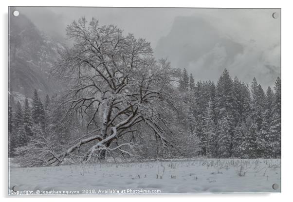 Yosemite Winter  Acrylic by jonathan nguyen