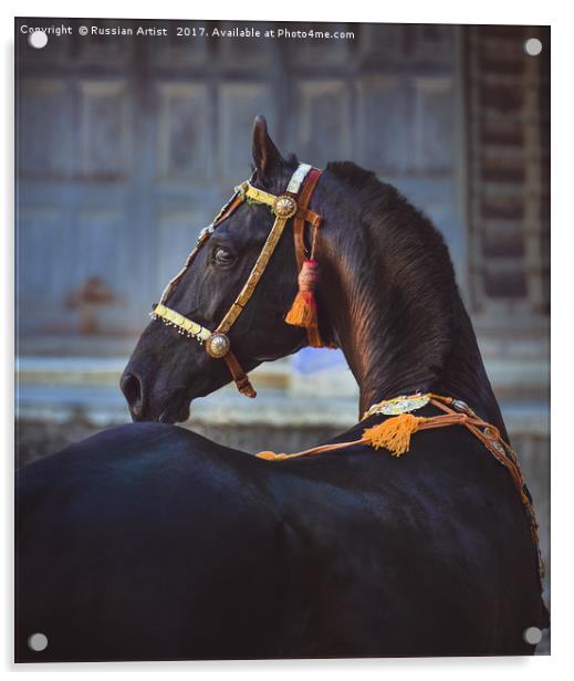 Portrait of Marwari Acrylic by Russian Artist 