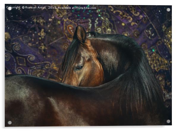 Horse Portrait with Carpet Acrylic by Russian Artist 
