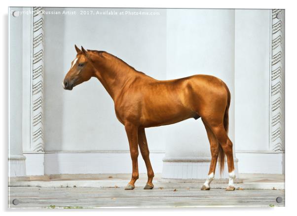Golden Horse Acrylic by Russian Artist 
