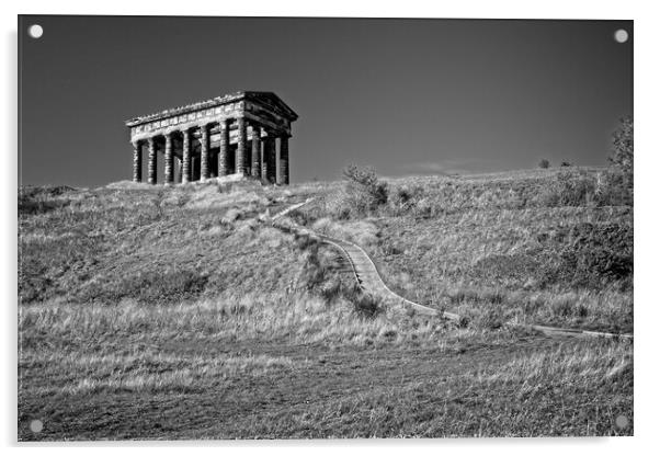 Penshaw Monument, County Durham Acrylic by Rob Cole