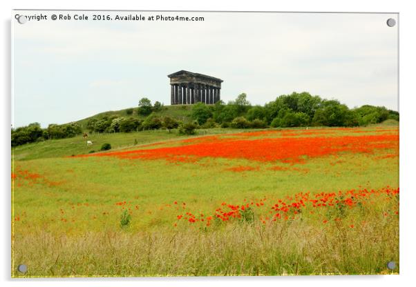 Poppies at Penshaw Monument, County Durham, Englan Acrylic by Rob Cole