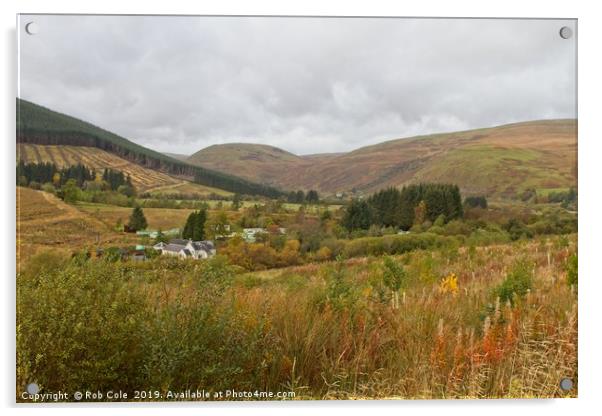 Ettrick Valley Landscapes, Scottish Borders Acrylic by Rob Cole