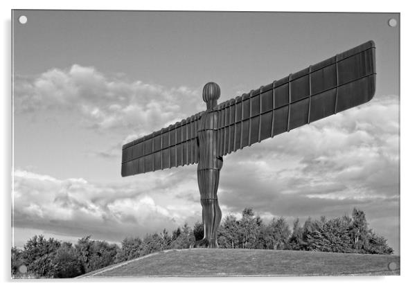 Angel of the North, North East England Acrylic by Rob Cole