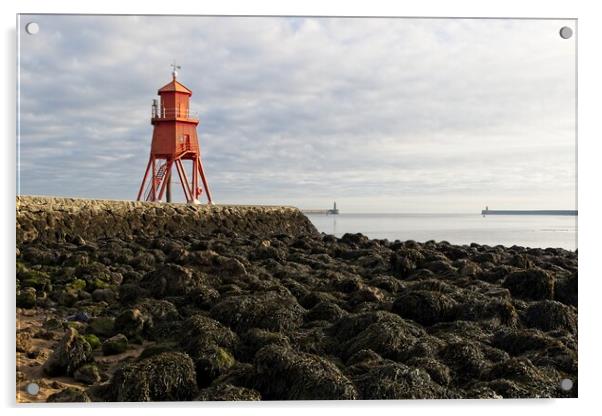 The Herd Groyne Lighthouse, South Shields Acrylic by Rob Cole