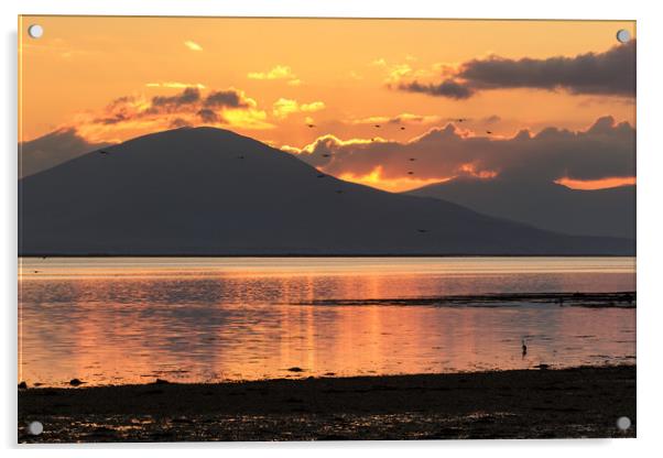 Sunset on Cockleshell Beach in Tralee Bay, Ireland Acrylic by Colm Kingston