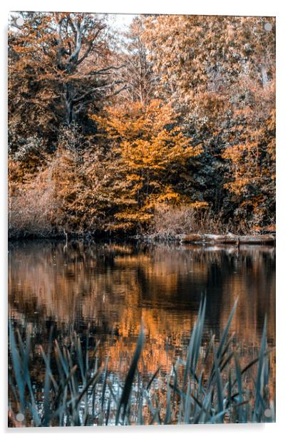 Autumn Reflections Acrylic by Mark Sorrell