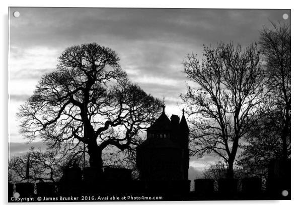 Cardiff Castle Winter Silhouettes Black & White Acrylic by James Brunker