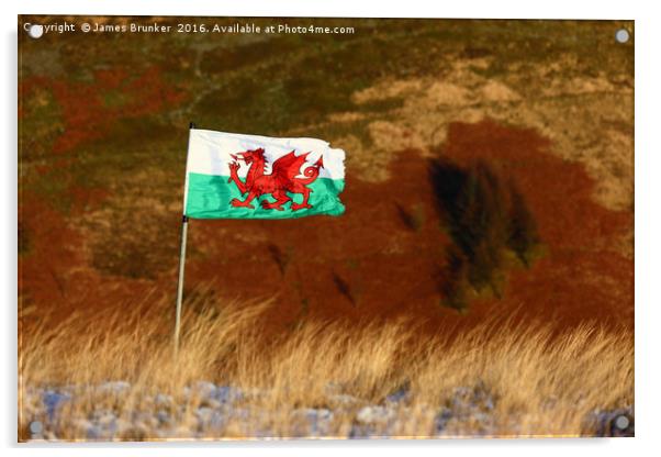 Welsh Flag and Mountain Colours Acrylic by James Brunker