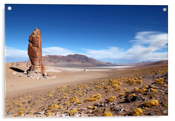 Moai de Tara and Salar de Aguas Calientes Chile Acrylic by James Brunker